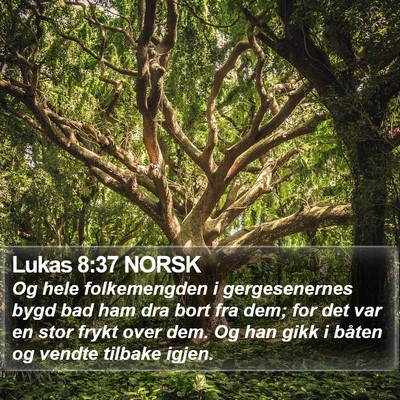 Lukas 8:37 NORSK Bible Verse Image