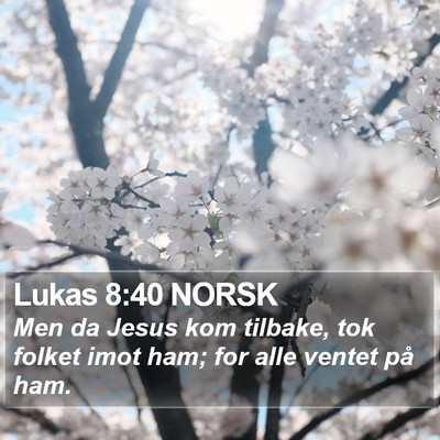 Lukas 8:40 NORSK Bible Verse Image