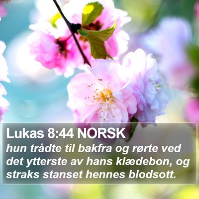 Lukas 8:44 NORSK Bible Verse Image