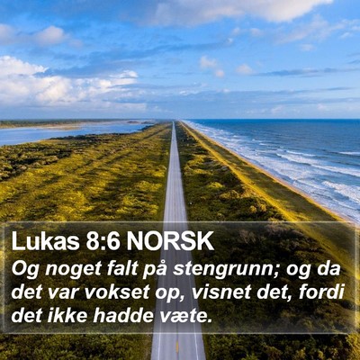 Lukas 8:6 NORSK Bible Verse Image