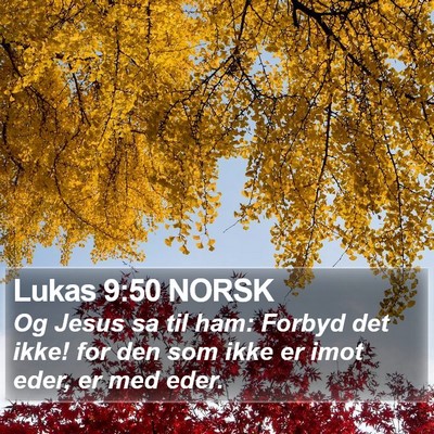 Lukas 9:50 NORSK Bible Verse Image