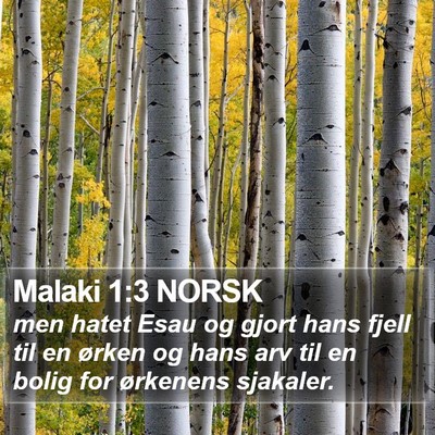 Malaki 1:3 NORSK Bible Verse Image