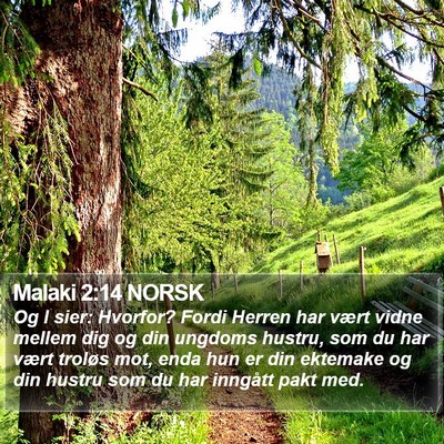 Malaki 2:14 NORSK Bible Verse Image