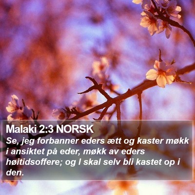 Malaki 2:3 NORSK Bible Verse Image