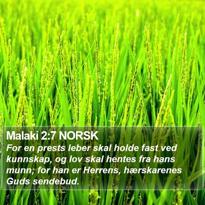 Malaki 2:7 NORSK Bible Verse Image