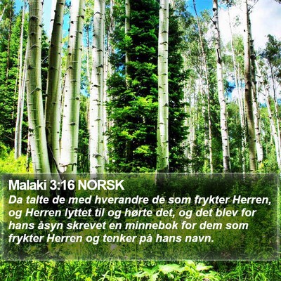 Malaki 3:16 NORSK Bible Verse Image