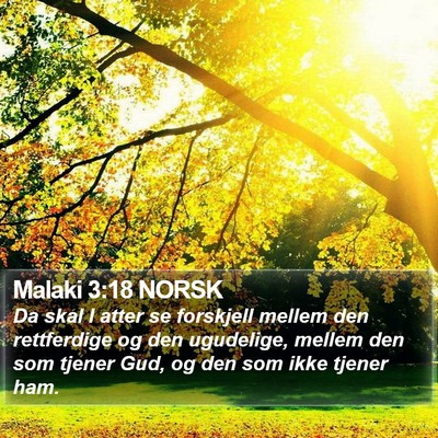 Malaki 3:18 NORSK Bible Verse Image