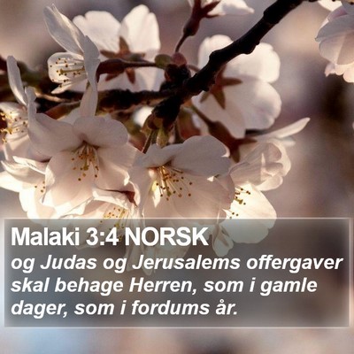 Malaki 3:4 NORSK Bible Verse Image