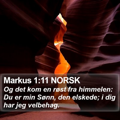 Markus 1:11 NORSK Bible Verse Image