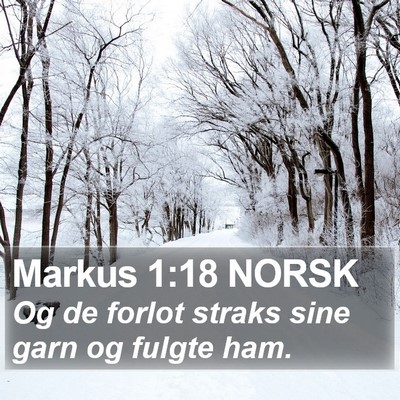 Markus 1:18 NORSK Bible Verse Image
