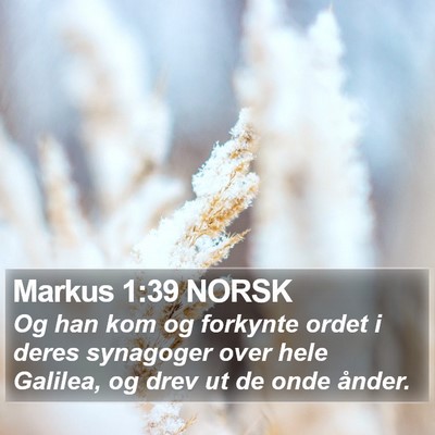 Markus 1:39 NORSK Bible Verse Image