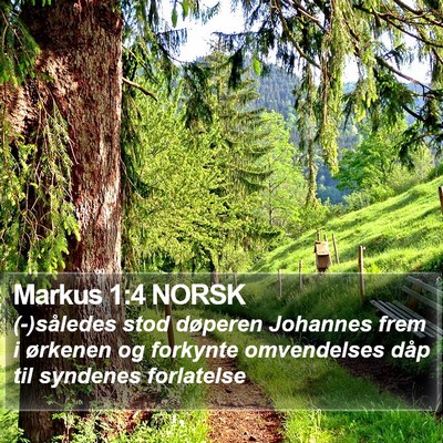 Markus 1:4 NORSK Bible Verse Image