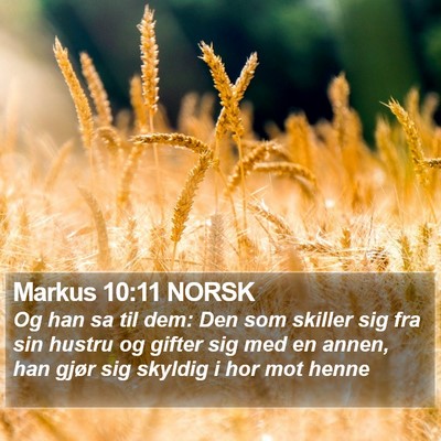 Markus 10:11 NORSK Bible Verse Image