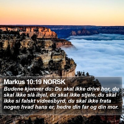 Markus 10:19 NORSK Bible Verse Image