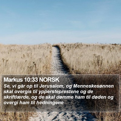 Markus 10:33 NORSK Bible Verse Image