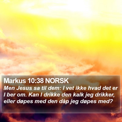 Markus 10:38 NORSK Bible Verse Image