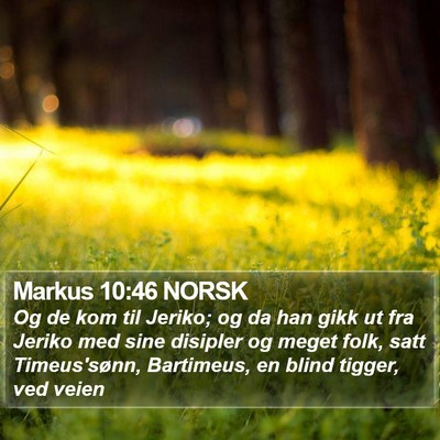 Markus 10:46 NORSK Bible Verse Image