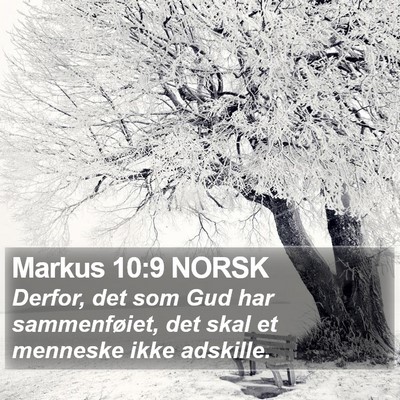 Markus 10:9 NORSK Bible Verse Image