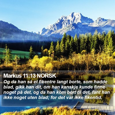 Markus 11:13 NORSK Bible Verse Image