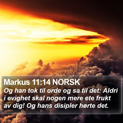 Markus 11:14 NORSK Bible Verse Image