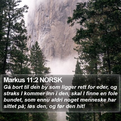 Markus 11:2 NORSK Bible Verse Image
