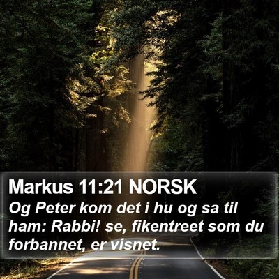Markus 11:21 NORSK Bible Verse Image
