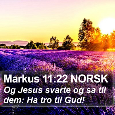 Markus 11:22 NORSK Bible Verse Image