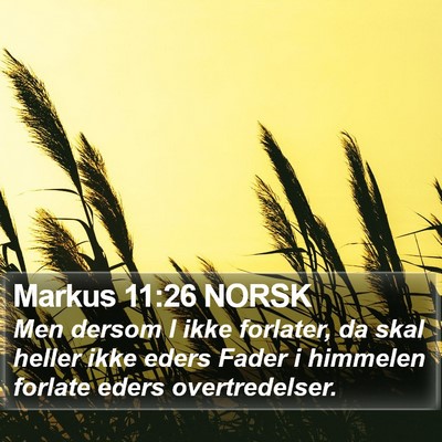 Markus 11:26 NORSK Bible Verse Image