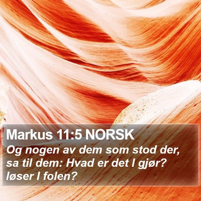 Markus 11:5 NORSK Bible Verse Image
