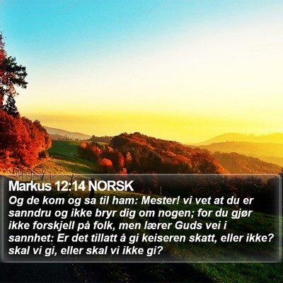 Markus 12:14 NORSK Bible Verse Image