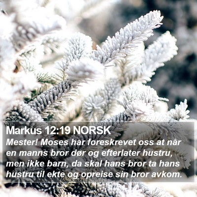 Markus 12:19 NORSK Bible Verse Image