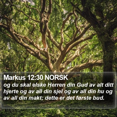 Markus 12:30 NORSK Bible Verse Image