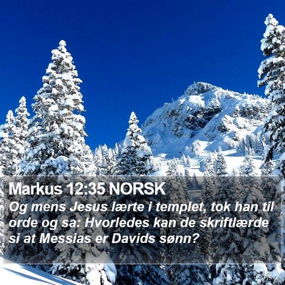 Markus 12:35 NORSK Bible Verse Image