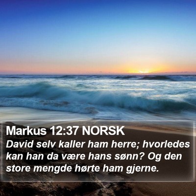 Markus 12:37 NORSK Bible Verse Image