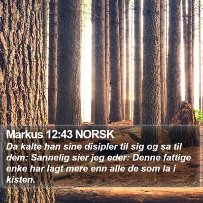 Markus 12:43 NORSK Bible Verse Image