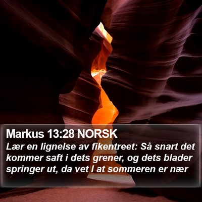 Markus 13:28 NORSK Bible Verse Image