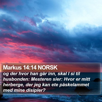 Markus 14:14 NORSK Bible Verse Image