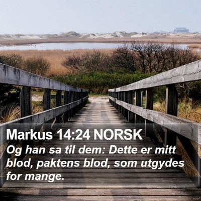 Markus 14:24 NORSK Bible Verse Image