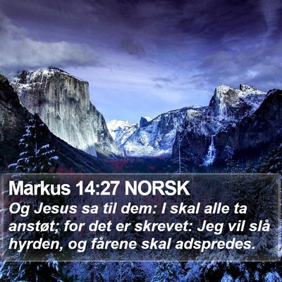 Markus 14:27 NORSK Bible Verse Image