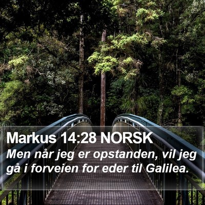 Markus 14:28 NORSK Bible Verse Image