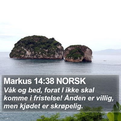 Markus 14:38 NORSK Bible Verse Image