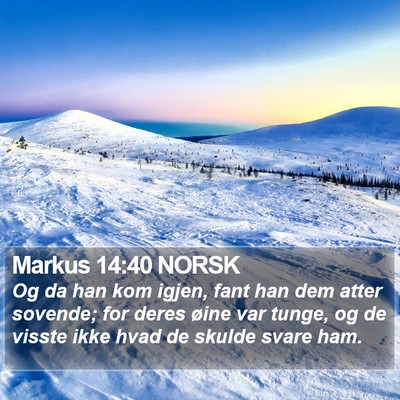 Markus 14:40 NORSK Bible Verse Image