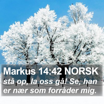 Markus 14:42 NORSK Bible Verse Image