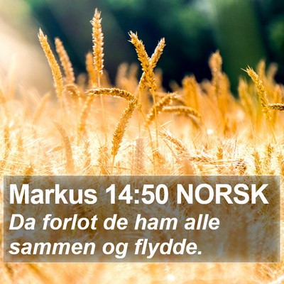 Markus 14:50 NORSK Bible Verse Image