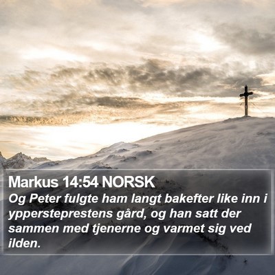 Markus 14:54 NORSK Bible Verse Image