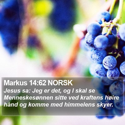 Markus 14:62 NORSK Bible Verse Image