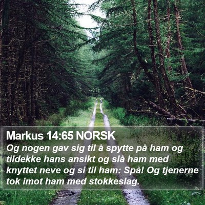 Markus 14:65 NORSK Bible Verse Image