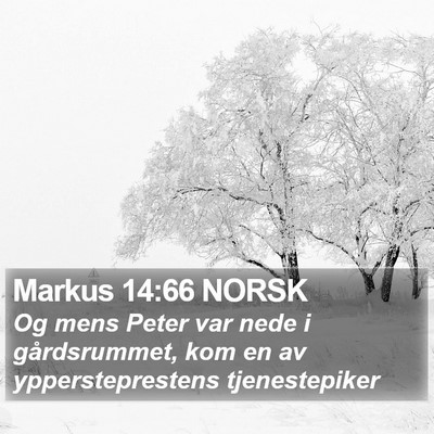 Markus 14:66 NORSK Bible Verse Image