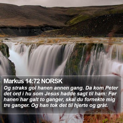 Markus 14:72 NORSK Bible Verse Image