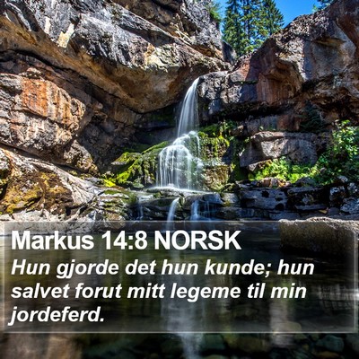 Markus 14:8 NORSK Bible Verse Image